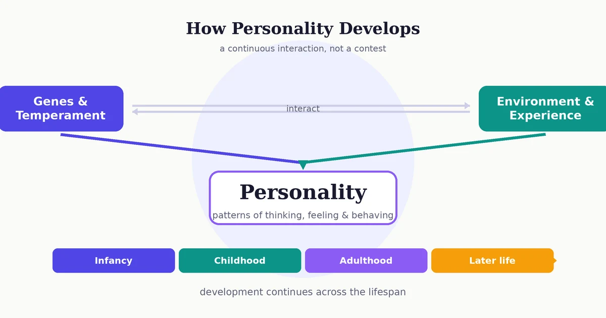 Diagram showing how personality develops: genes and temperament interact with environment and experience across the lifespan to shape personality