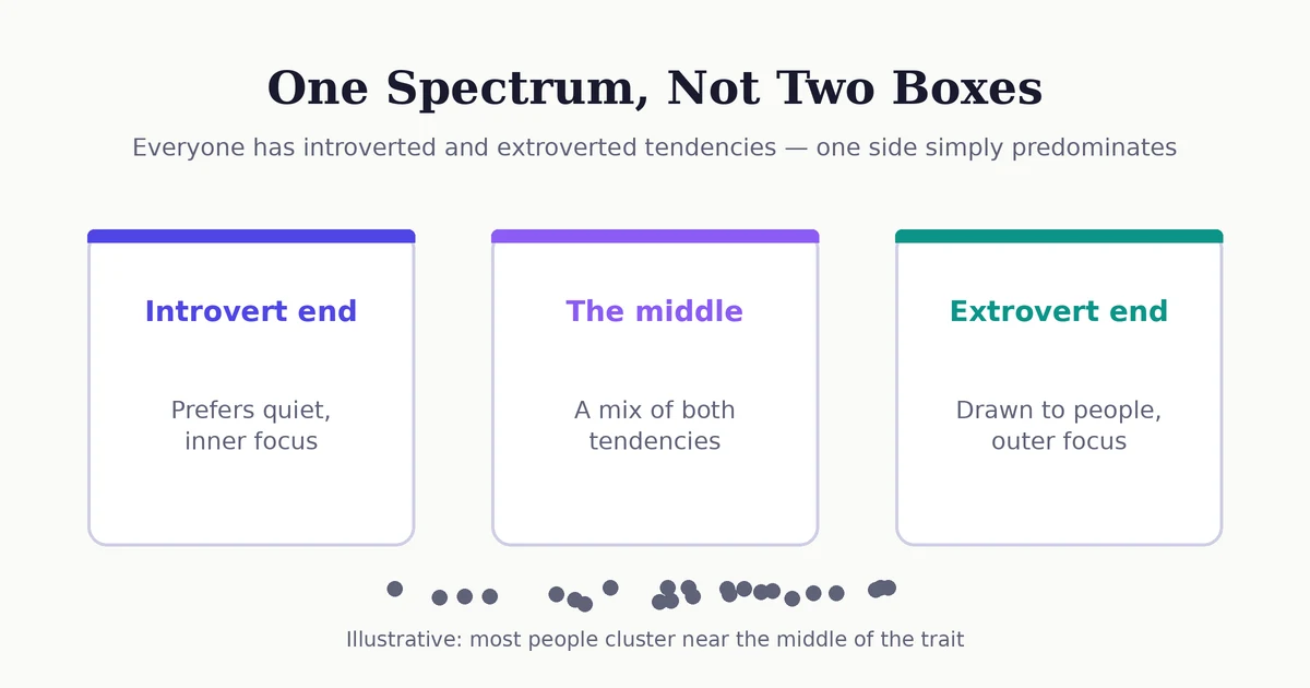 Diagram showing introversion and extraversion as one spectrum, with introvert and extrovert ends, a middle mixing both tendencies, and most people clustering near the middle