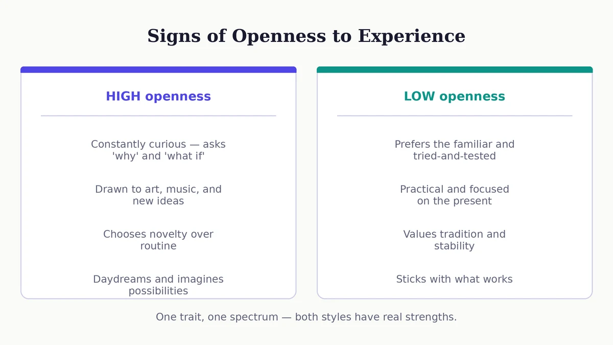 Side-by-side diagram of the signs of high versus low openness to experience